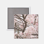 Cherry Blossom Magnet (Voorkant / Achterkant)
