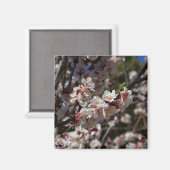 Cherry Blossom magnet (Voorkant / Achterkant)