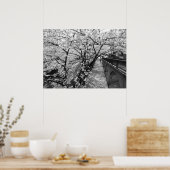Cherry Blossom: Meguro River, Tokio (zwart-wit) Poster (Keuken)