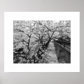 Cherry Blossom: Meguro River, Tokio (zwart-wit) Poster (Voorkant)