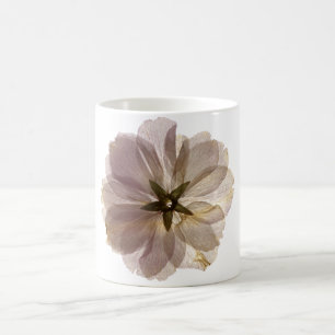 Cherry Blossom Mok 2