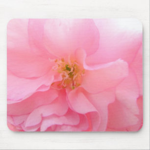 Cherry Blossom Muismat