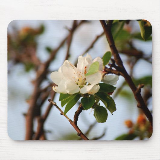 Cherry Blossom Muismat (Voorkant)