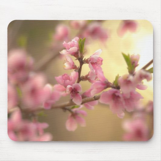 Cherry Blossom Muismat (Voorkant)