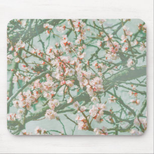 Cherry blossom muismat