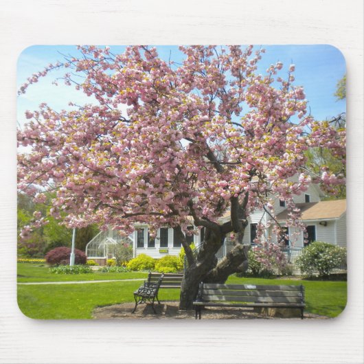 Cherry Blossom Muismat (Voorkant)