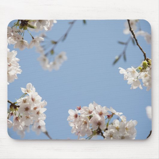 Cherry blossom muismat (Voorkant)
