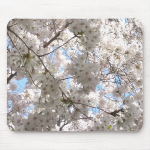 Cherry Blossom Muismat
