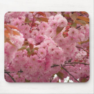 Cherry Blossom Muismat