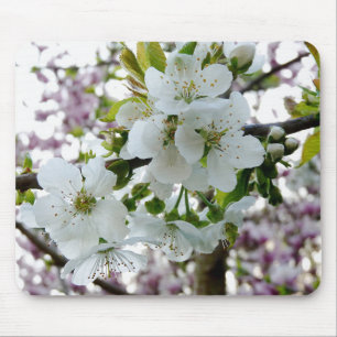Cherry Blossom Muismat