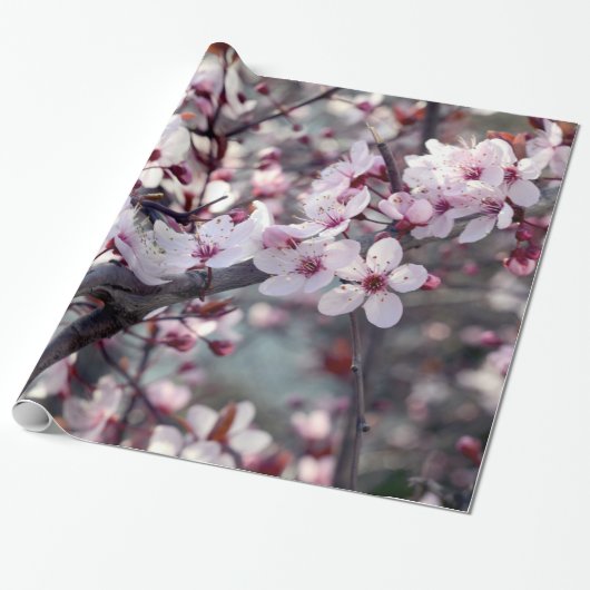 Cherry Blossom Natuur Floral Cadeaupapier (Uitgerold)