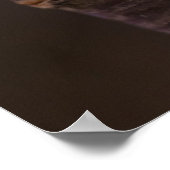 Cherry Blossom Nestled Against Branch Poster (Hoek)