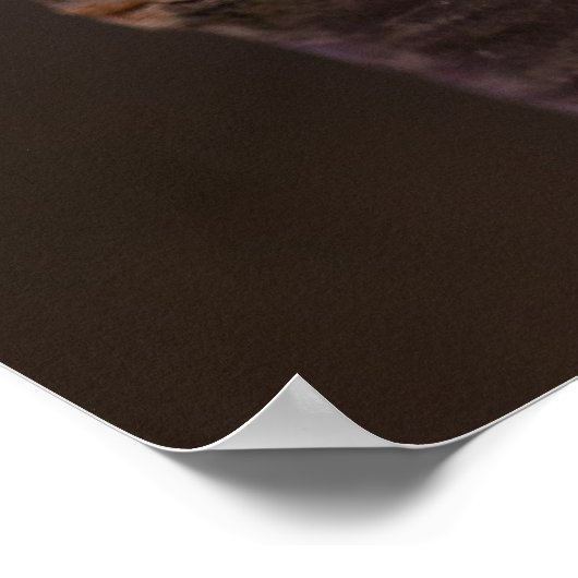 Cherry Blossom Nestled Against Branch Poster (Hoek)