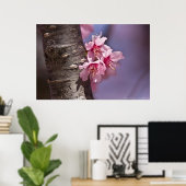 Cherry Blossom Nestled Against Branch Poster (Thuiskantoor)