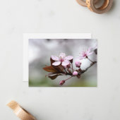 Cherry Blossom Notecard Notitiekaartje (Voorkant / Achterkant in situ)