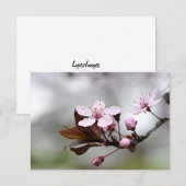 Cherry Blossom Notecard Notitiekaartje (Voorkant / Achterkant)