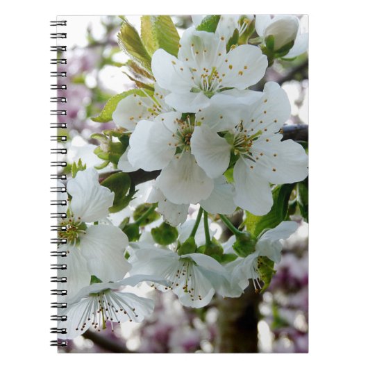 Cherry Blossom Notitieboek (Voorkant)
