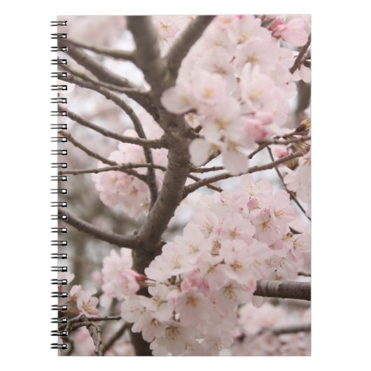 Cherry Blossom Notitieboek (Voorkant)