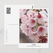 Cherry Blossom ‘Oh-kanzakura’ Briefkaart (Voorkant / Achterkant)