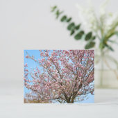Cherry Blossom: Omoigawa Briefkaart (Staand voorkant)