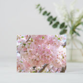Cherry Blossom: Omoigawa Briefkaart (Staand voorkant)