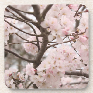 Cherry Blossom Onderzetter