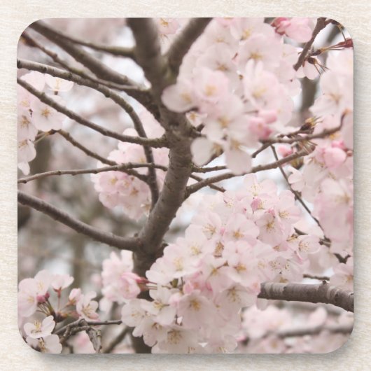 Cherry Blossom Onderzetter (Voorkant)