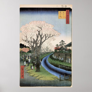 Cherry Blossom op de Banken van de Tama Poster