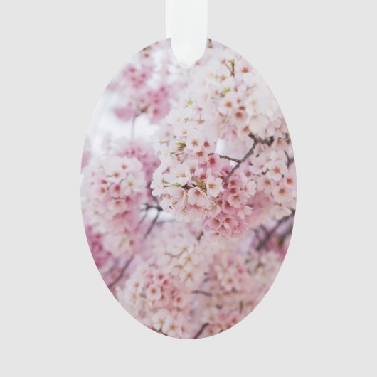 Cherry Blossom Ornament (voorkant)