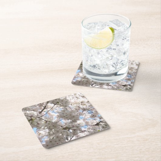 Cherry Blossom paper onderzetters (Insitu)