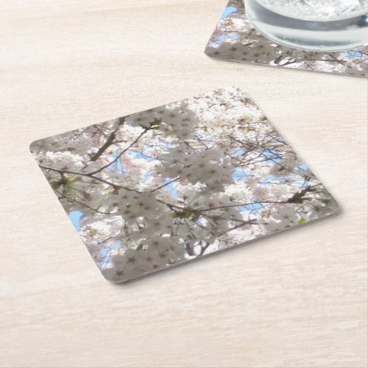 Cherry Blossom paper onderzetters (Schuin)