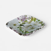 Cherry Blossom Papieren Bordje (Gebogen)