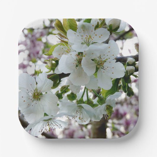 Cherry Blossom Papieren Bordje (Voorkant)