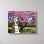Cherry Blossom Paris France Canvas Print (Voorkant)