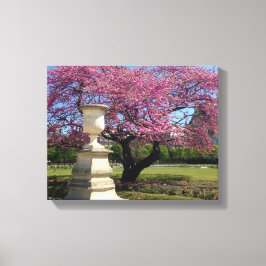 Cherry Blossom Paris France Canvas Print