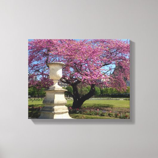 Cherry Blossom Paris France Canvas Print (Voorkant)