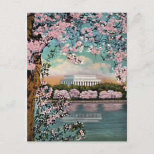 Cherry Blossom Party Invitation Kaart