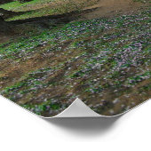 Cherry Blossom Path 12x16 Poster (Hoek)