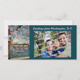 Cherry Blossom Photocard