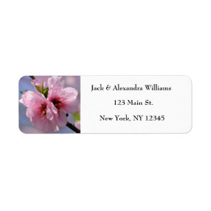  Cherry Blossom Pink Chic Return Address Etiket