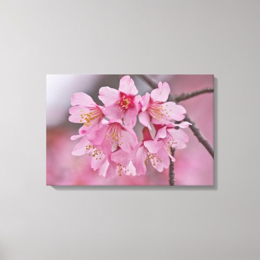 Cherry Blossom Pink Pastel Bouquet Poster Canvas Afdruk (Voorkant)