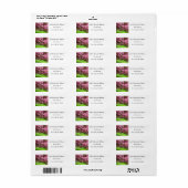  Cherry Blossom Pink Rustic Return Address Etiket (Full Sheet)