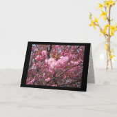 Cherry Blossom Pink Wenskaart Kaart (Gele Bloem)