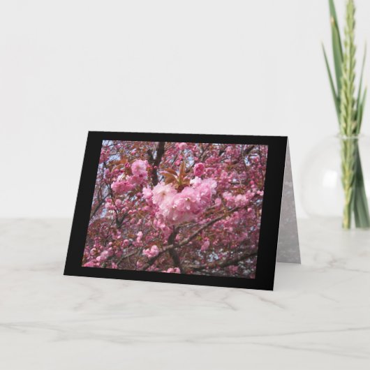 Cherry Blossom Pink Wenskaart Kaart (Voorkant)