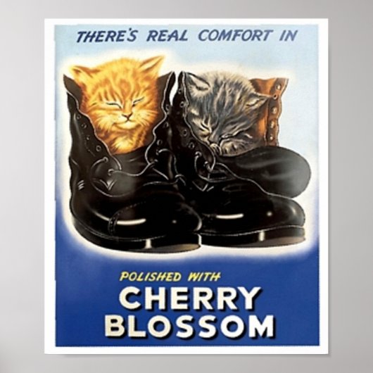  Cherry Blossom Poolse ad-Kittens in schoenen Poster (Voorkant)