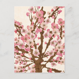 Cherry blossom Postcard Briefkaart