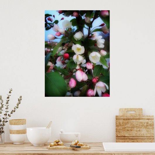 Cherry Blossom Poster (Keuken)