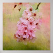 Cherry Blossom Poster (Voorkant)