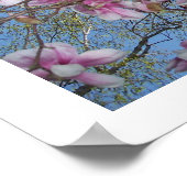Cherry Blossom Poster (Hoek)