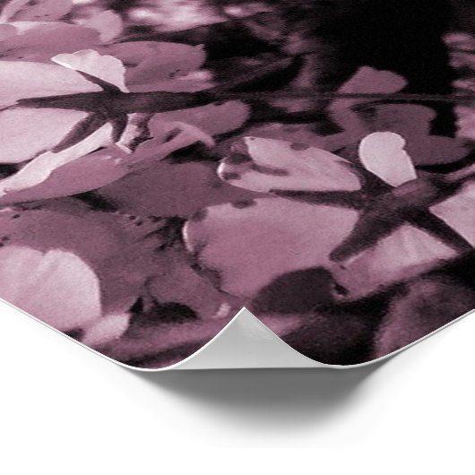 Cherry Blossom Poster (Hoek)